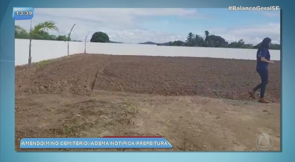 Plantação de Amendoim no cemitério: Adema notifica e multa Prefeitura de Moita Bonita 
