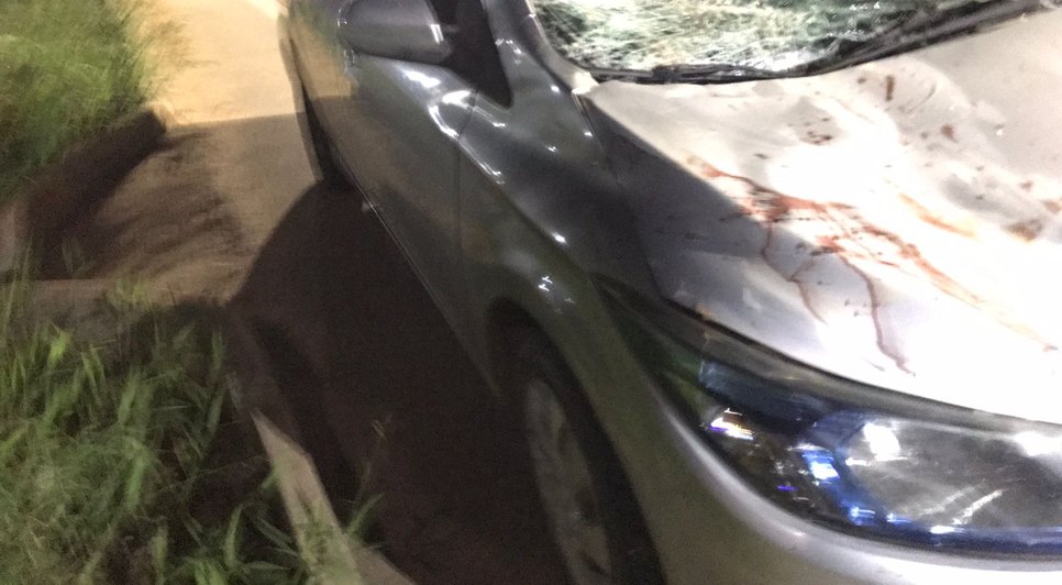 Motorista embriagado é preso após atropelar homem montado a cavalo em São Cristóvão / Foto: Foto: CPTran/SE