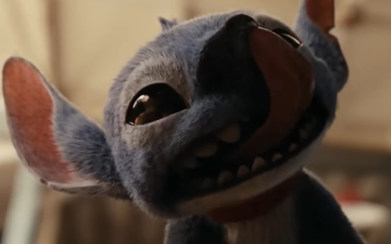 Stitch: que bicho ele é?