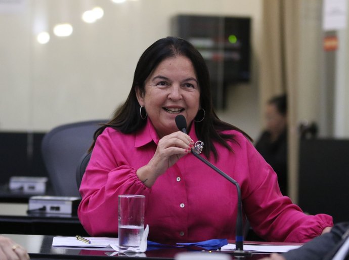 ALE aprova projeto reconhece o bloco Leão de Aço como Patrimônio Cultural