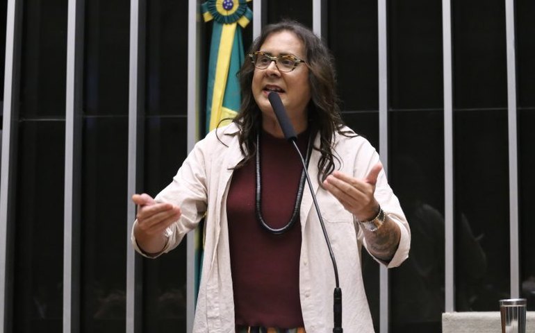 Comissão aprova projeto que obriga instalação de telhados verdes em novos prédios públicos