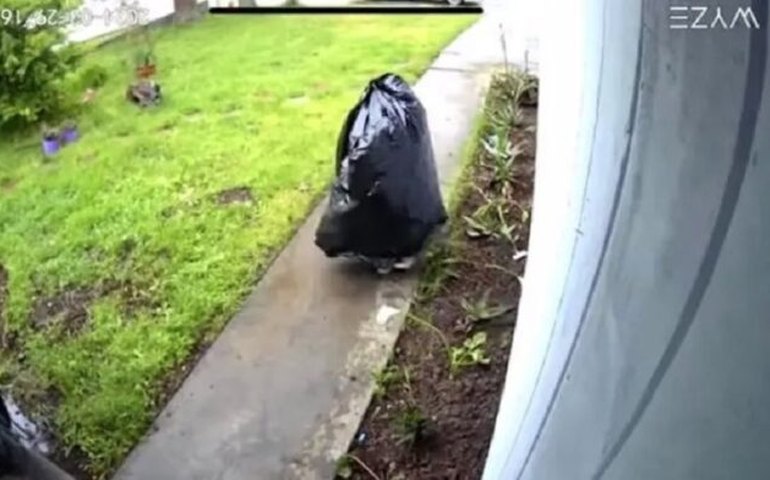 ‘Pensei que estivessem brincando’: Ladrão usa saco de lixo como disfarce para roubar entregas nos EUA; veja vídeo