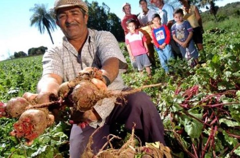 Municípios já podem enviar propostas ao Programa de Aquisição de Alimentos