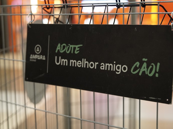 Evento de adoção de pets busca novos lares para animais resgatados em Maceió