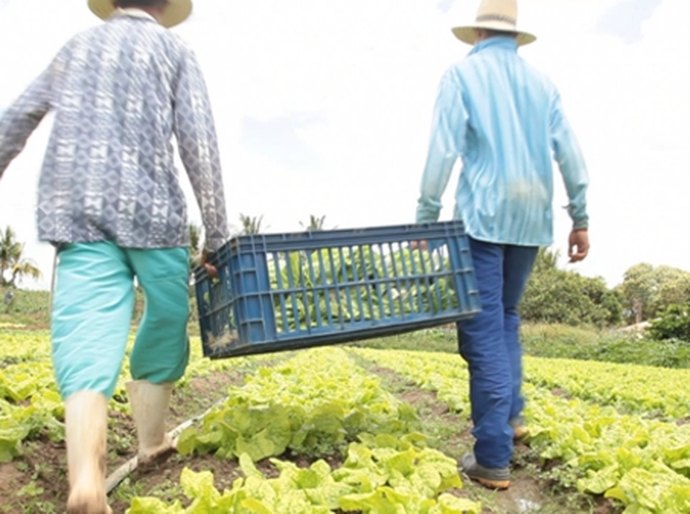 Desenvolve e Sedetur debatem parceria para interiorização do crédito