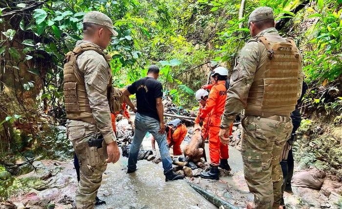 Buscas foram realizadas pelo Corpo de Bombeiros em conjunto com as polícias Militar e Civil Buscas foram realizadas pelo Corpo de Bombeiros em conjunto com as polícias Militar e Civil