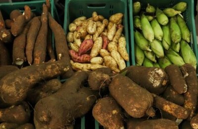 Emater convoca unidades recebedoras para cadastro no Programa de Aquisição de Alimentos 2022