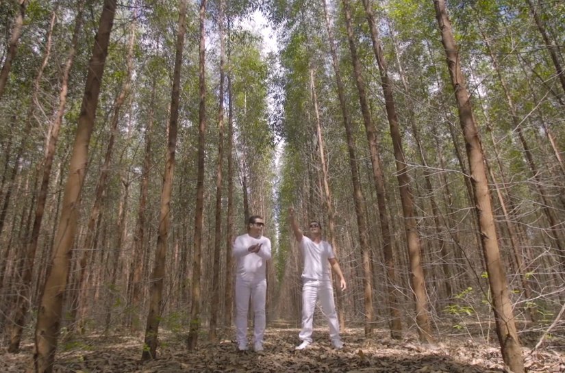 “Show do Trabalhador” em Arapiraca terá Grupo Gingado e Lennon Menezes