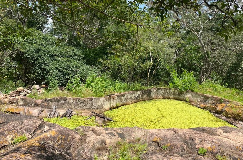 IMA orienta sobre cuidados necessários ao fazer uma trilha ecológica