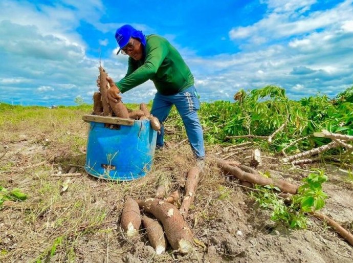Município de Campo Alegre é classificado pelo Governo Federal para executar R$ 175 mil no PAA  In