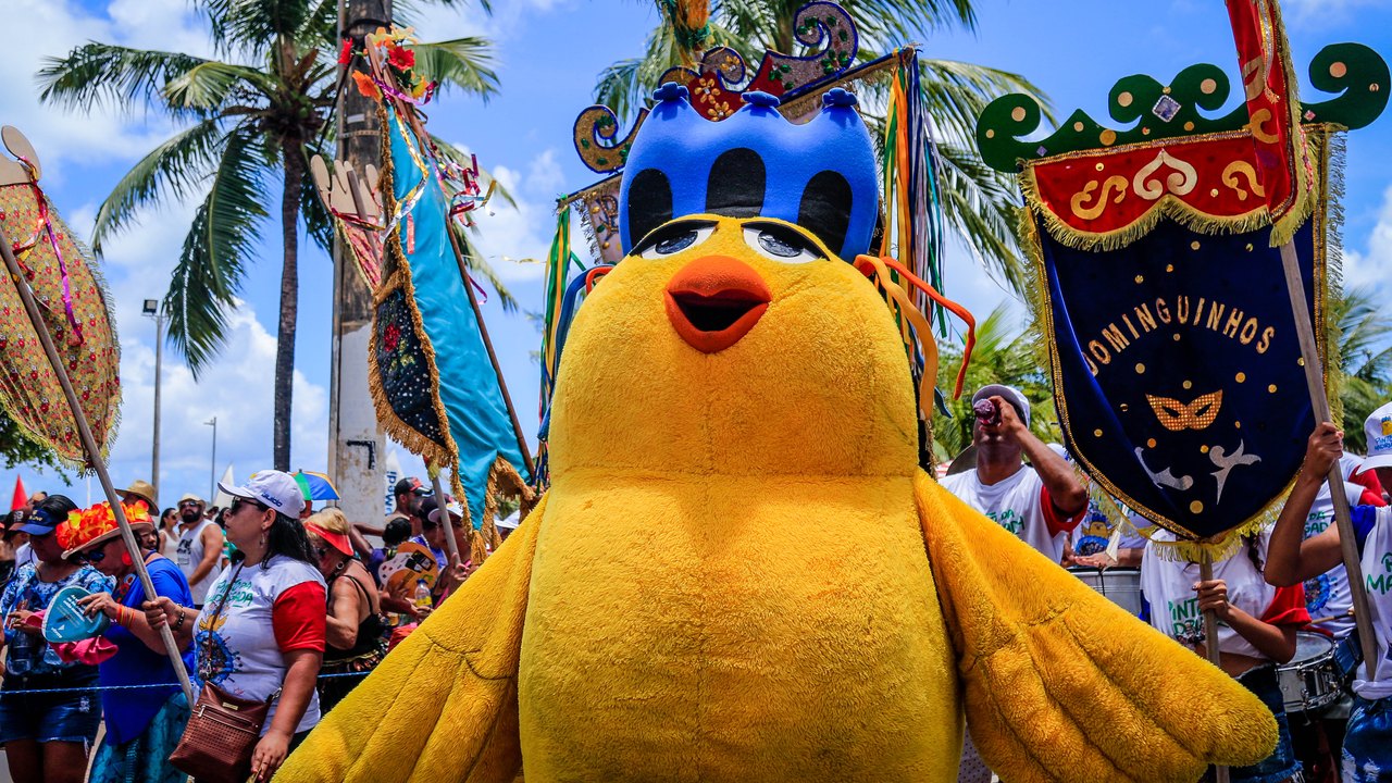 Maceió: carreta cultural do Pinto da Madrugada vai agitar o Carnaval