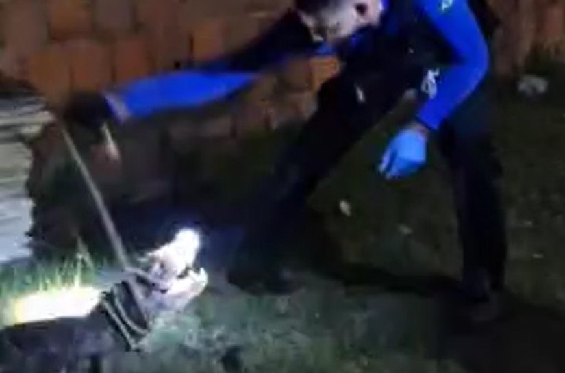 Policial Científico resgata jacaré que invadiu residência em Marechal Deodoro