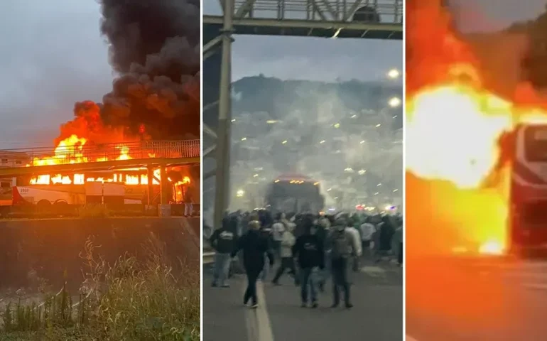 Rixa entre torcidas de Palmeiras e Cruzeiro começou há mais de 30 anos após assassinato em SP
