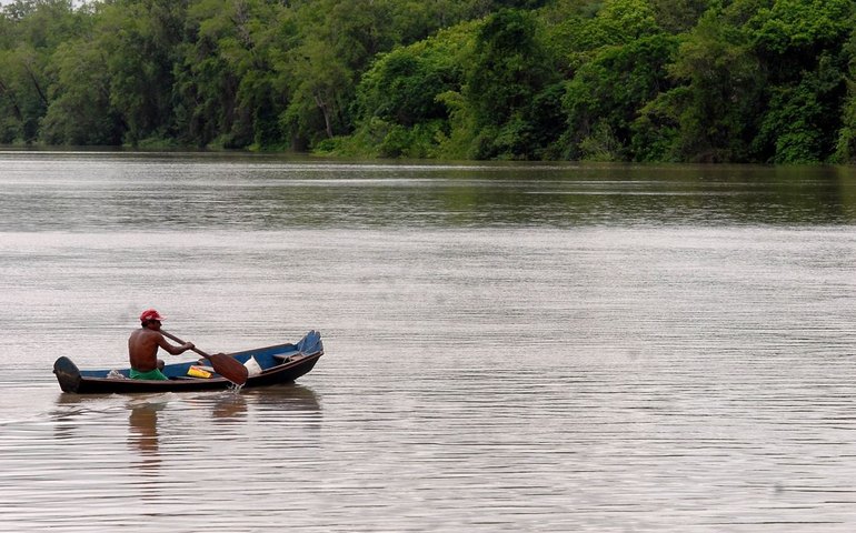 Amazônia Legal terá recursos para projetos de bioeconomia