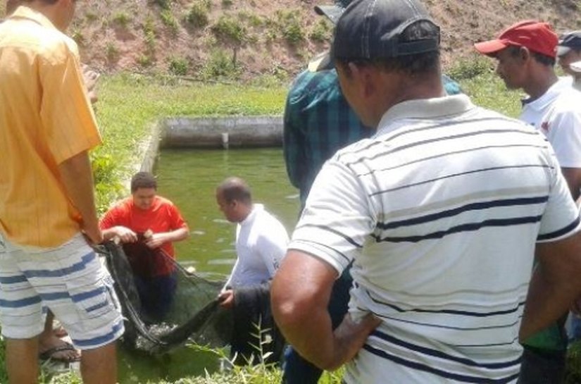 Produtores de Messias são capacitados em piscicultura