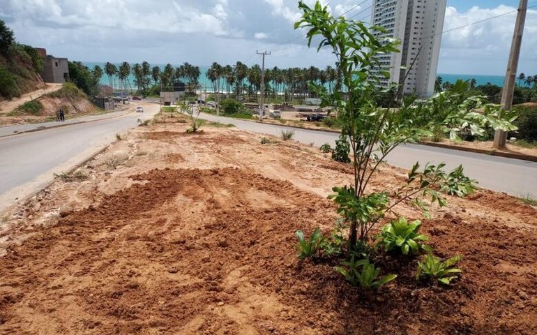 Prefeitura de Maceió inicia plantio de árvores em canteiro da Rota do Mar