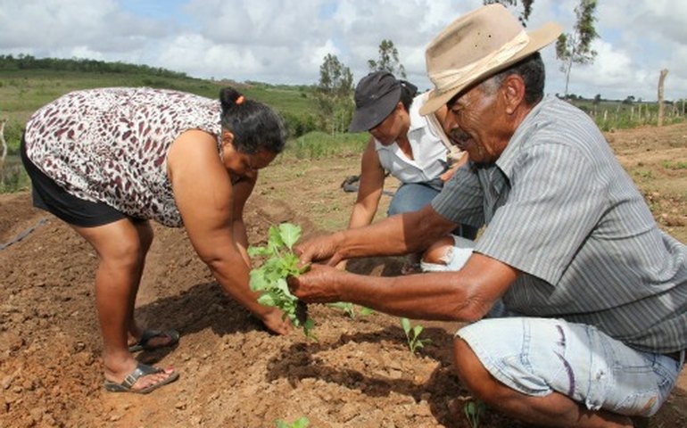 Arapiraca: Comunidade do Pau d&#8217;Arco é beneficiada com &#8216;Horta no Quintal&#8217;