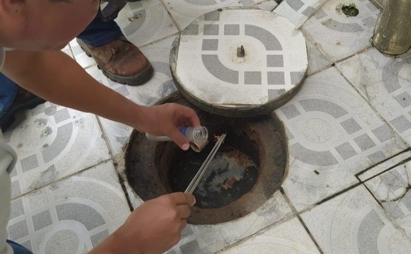 Casos de picadas por escorpiões crescem em Maceió e autoridades reforçam alerta à população