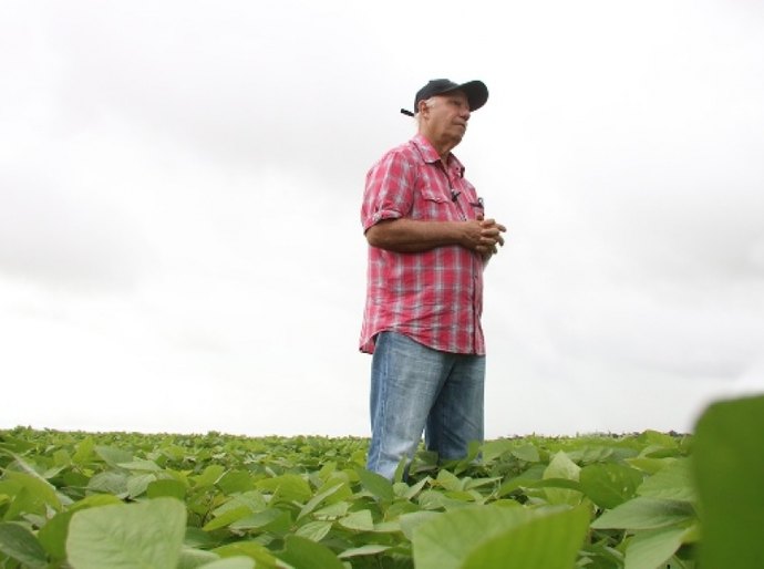 Agricultura promove Dia de Campo sobre colheita da soja nesta quarta-feira