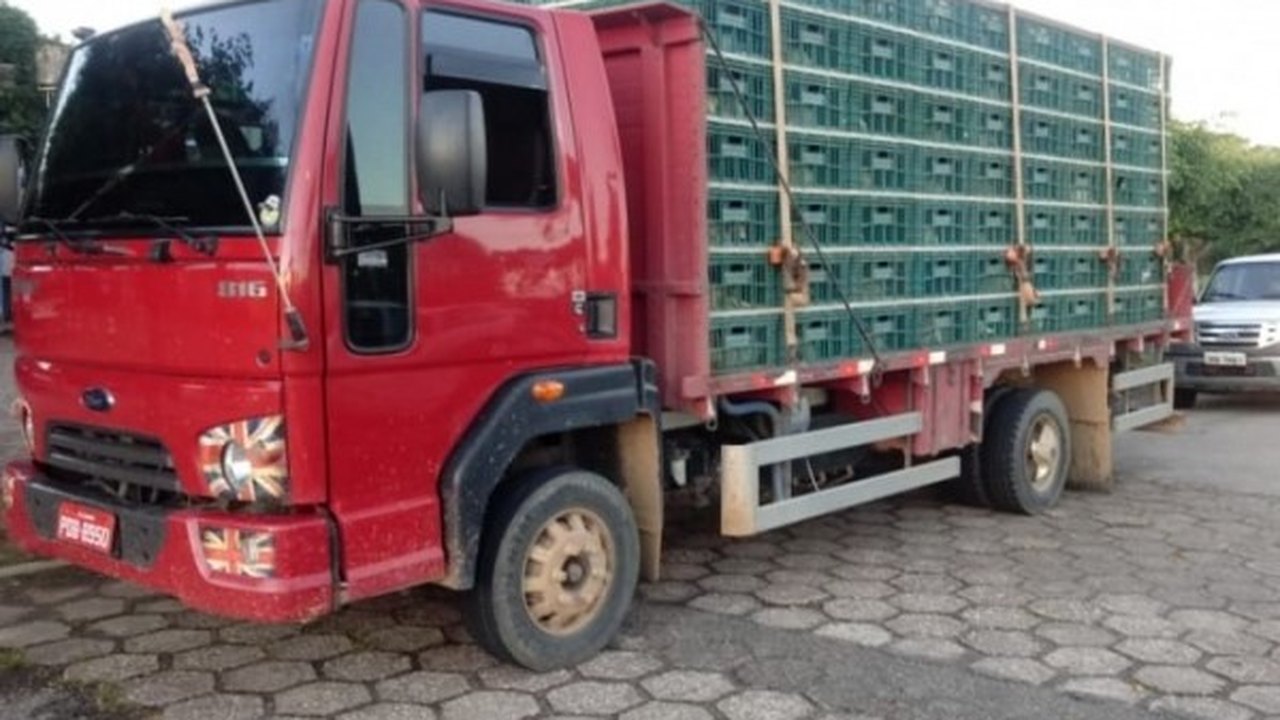 Operação integrada apreende cerca de 9 mil aves sem nota fiscal em Alagoas