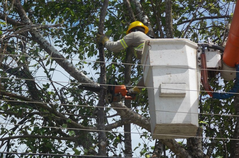 Eletrobras realiza manutenção na rede eletríca de cidades do Litoral Norte