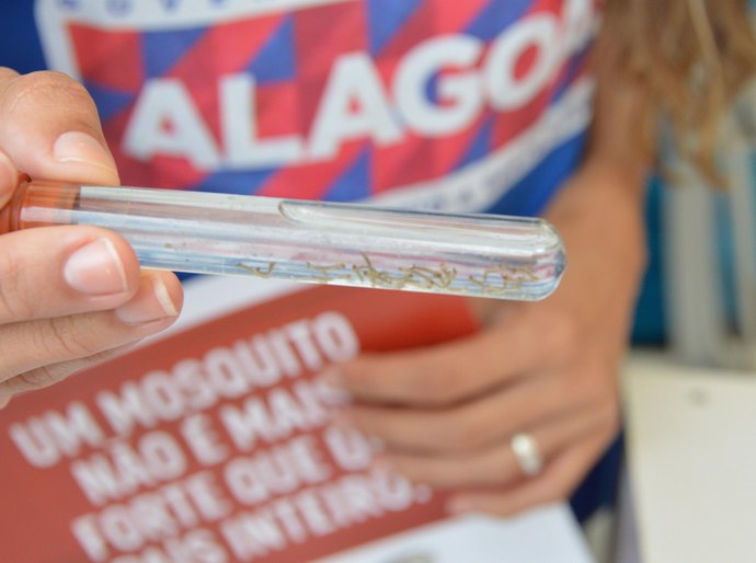 Sesau promove treinamento on-line sobre manejo clínico da Chikungunya