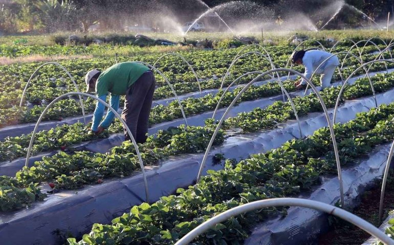 Guerra na Ucrânia expõe dependência brasileira por fertilizantes importados