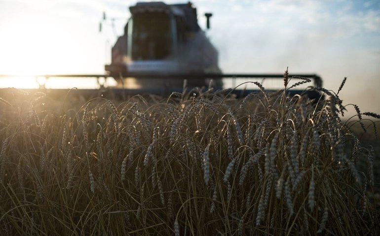 Guerra tarifária: após Brasil, China vai à Argentina substituir produtos agrícolas dos EUA