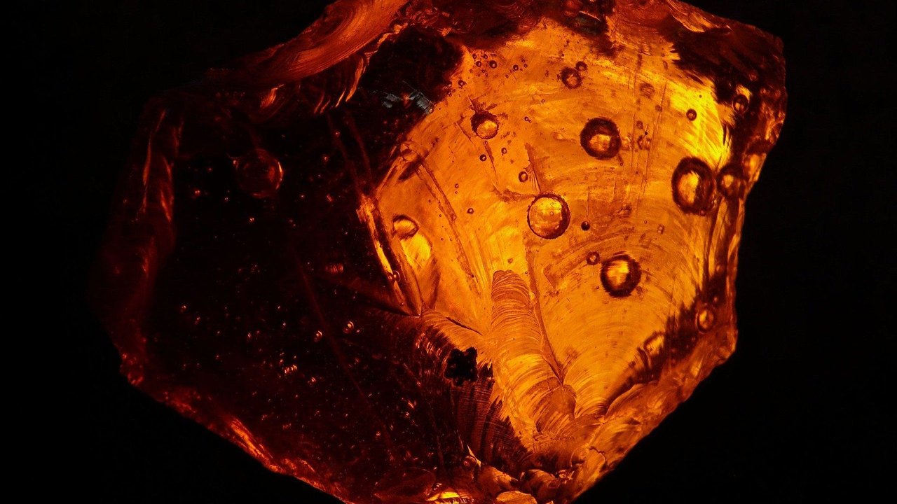 Âmbar mais antigo da Terra é descoberto na China, aponta estudo