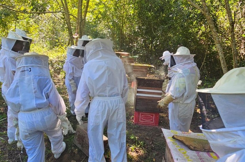 Bombeiros civis recebem  formação técnica para uma atuação segura nas ocorrências com abelhas