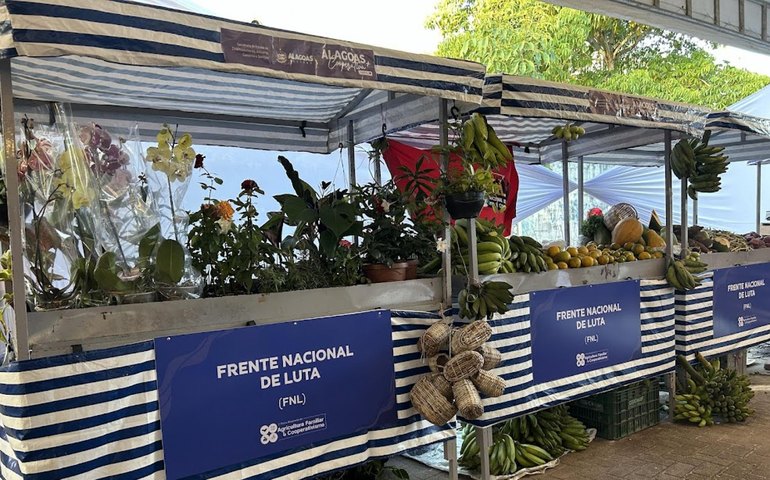 Sedics consolida avanços e fortalece o desenvolvimento econômico de Alagoas em 2025