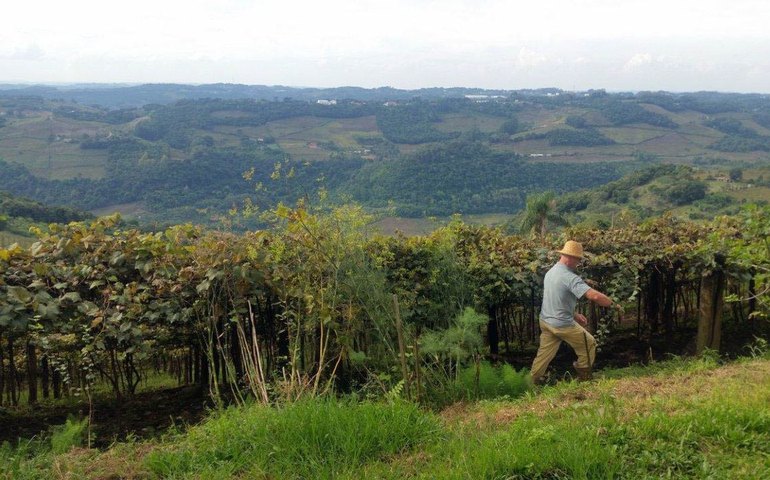 Entrega da declaração do ITR 2025 começa nesta segunda-feira