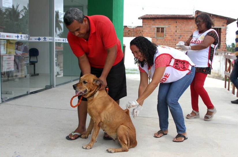 Antirrábica: Saúde já vacinou mais de seis mil animais em Marechal Deodoro