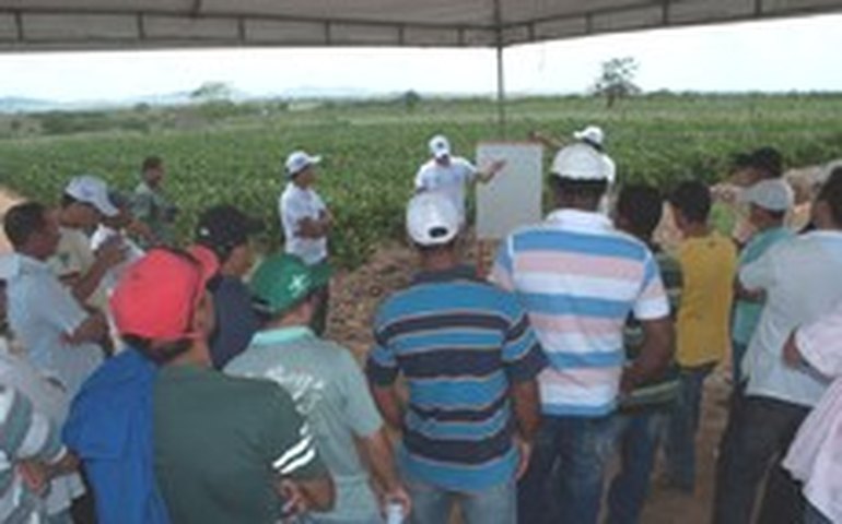 Agricultores conhecem novas técnicas de produção leiteira