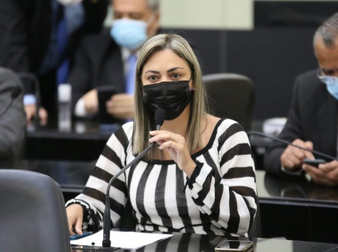 Flávia Cavalcante aponta necessidade de recuperação da mureta de ponte em São Luiz do Quitunde