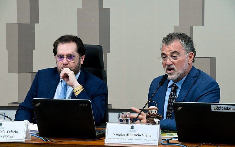 Senadores e diretor de ONG divergem durante depoimento a CPI