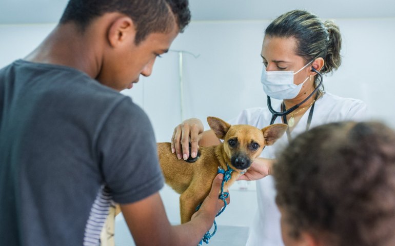 Castramóvel da Prefeitura de Maceió realizou 147 castrações de animais no Vergel do Lago