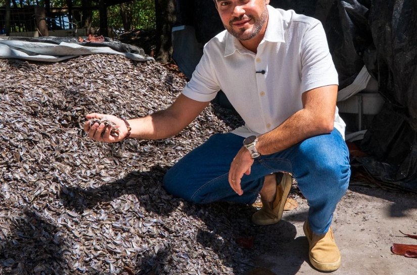Davi Maia propõe cultivo de sururu com tecnologia para melhorar renda e segurança de marisqueiros