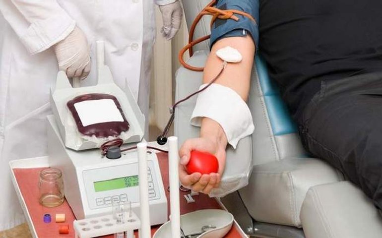Suposto veto a doação de sangue por homens gays é investigado pelo MPF