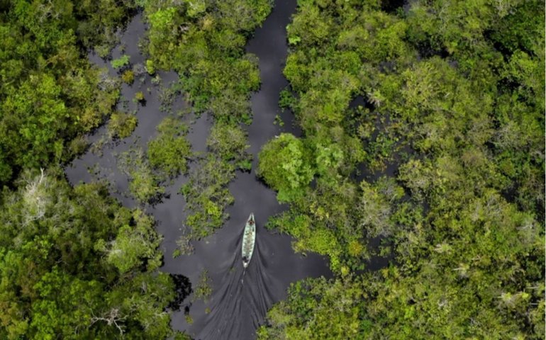 Ministro da Noruega diz que país retornará ao Fundo Amazônia após vitória de Lula