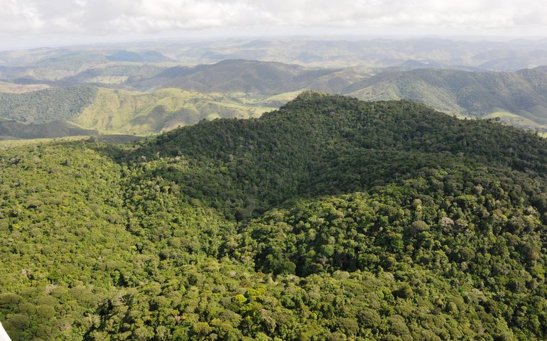 Alagoas registra queda de 68,4% no desmatamento em 2025, aponta MapBiomas