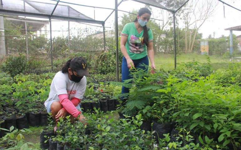 Projeto Amanhã colhe seus primeiros frutos e destina alimentos aos abrigos municipais