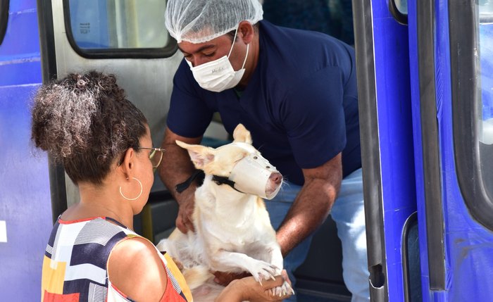 CastraPet abre novo cadastro para esterilização de cães e gatos em Penedo