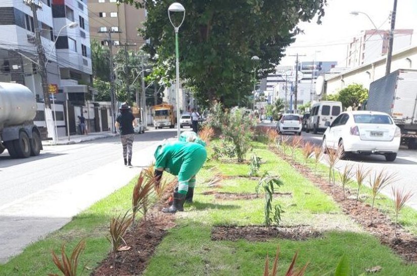 Avenida Sandoval Arroxelas recebe ações de arborização