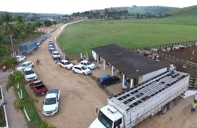 Em Atalaia "Feira do Gado"surge como grande atração da agropecuária