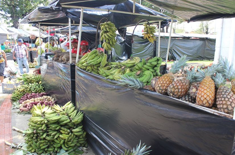 MST comercializa 458 toneladas de alimentos durante Feira em Maceió