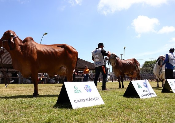 Expoagro Alagoas fatura R$15 milhões e quebra recorde