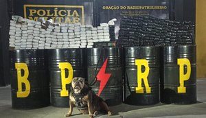 Foto: PMSE / Foto: Foto: PMSE