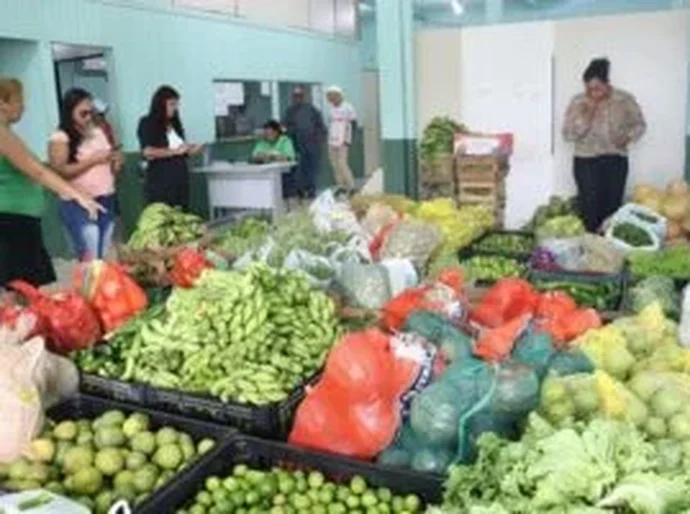 CNM destaca edital de chamamento público para modernização de bancos de alimentos