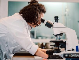 Alagoas ocupa o 1º lugar do País na proporção de alunos com bolsas de mestrado e doutorado